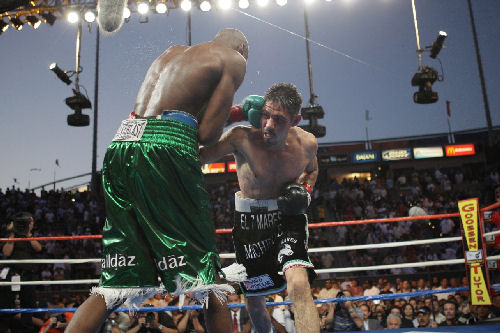 Tyson, Sugar Ray, Oscar De La oscar de la hoya boxing gloves. Tyson, Sugar Ray, Oscar De La