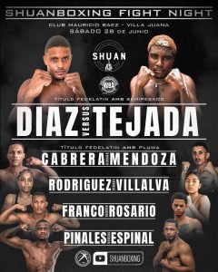 Santo Domingo Heats Up with WBA Fedelatin Title Fights â€“ World Boxing Association