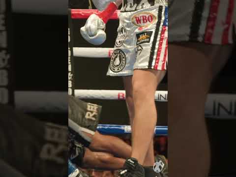 It's Strap Season for Alexis Rocha 🔥🥊 #boxinghighlights #shortvideo