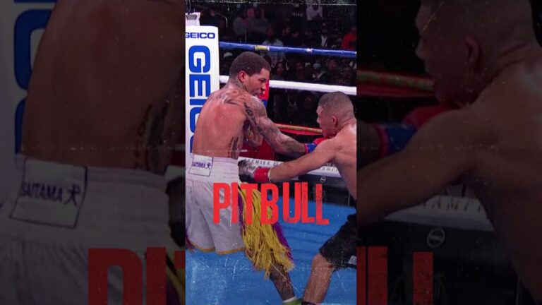 The Fans Have Spoken! 📣  #RollyPitbull