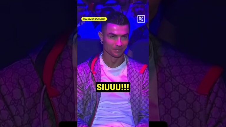 The Stars Are in the Building 🤩