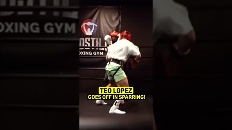 Teofimo Lopez makes it look easy 😳