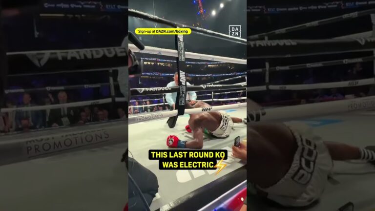 INCREDIBLE Last Round KO By Rodriguez 👊