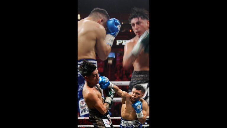 Feel the POWER of a Pitbull punch!