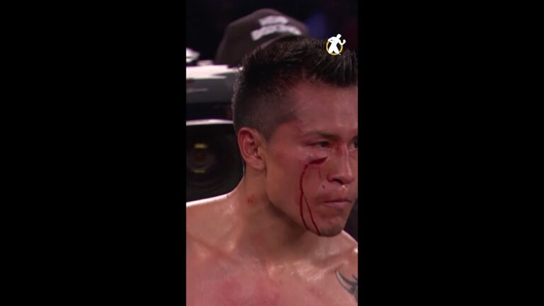 This Fight of the Year in 2015 was UNBELIEVABLE!