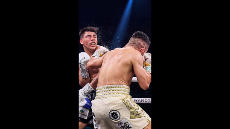 Pitbull dogwalks Salcido