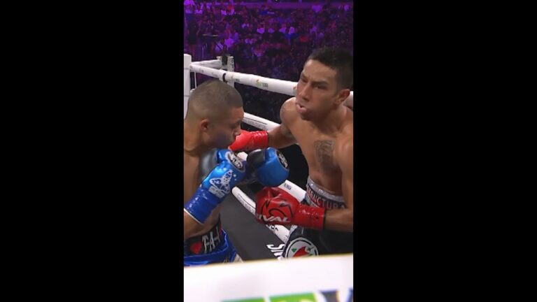 Pitbull hurts everybody he fights