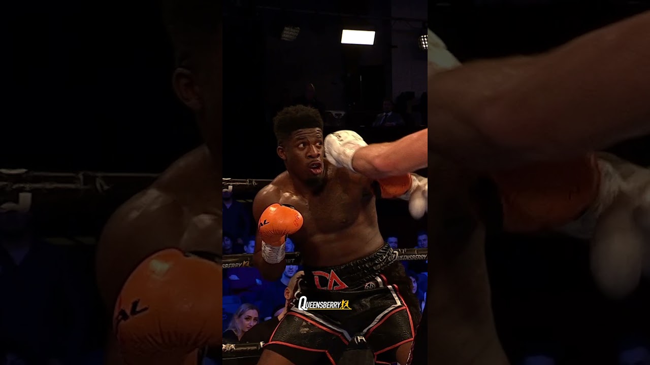 David Adeleye BRUTUAL KNOCKOUT POWER! 🤯💥 #boxing #boxingmatch #knockout #boxinghighlights