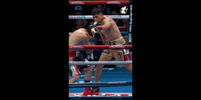 The next chapter of #RochaCuriel – Boxing News