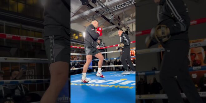 Agit Kabayel’s heavy hands are loading for fight night 💣💥 – Boxing News