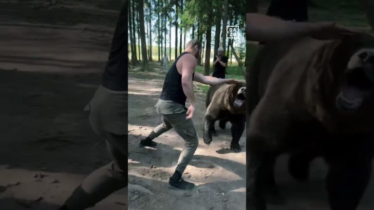 Arslanbek Makhmudov FIGHTS A BEAR again in crazy video before Tyson Fury fight 😱