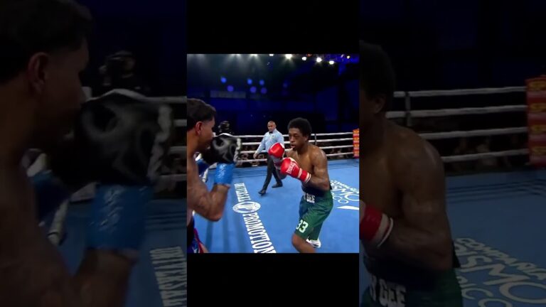 GARRETT RICE vs JOHNIEL RAMOS COTTO