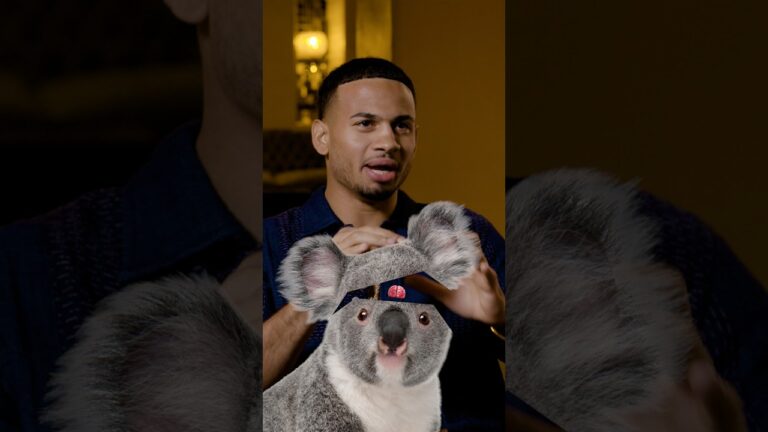 Fun Facts with Rolly Romero: Koala Edition 🐨