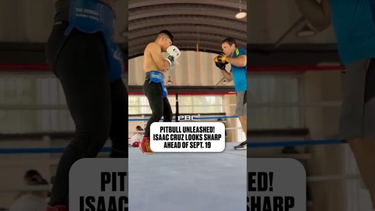 Pitbull Looks SHARP in New Training Footage