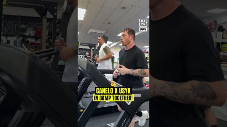Canelo and Usyk are putting in the work together in camp! 🔥
