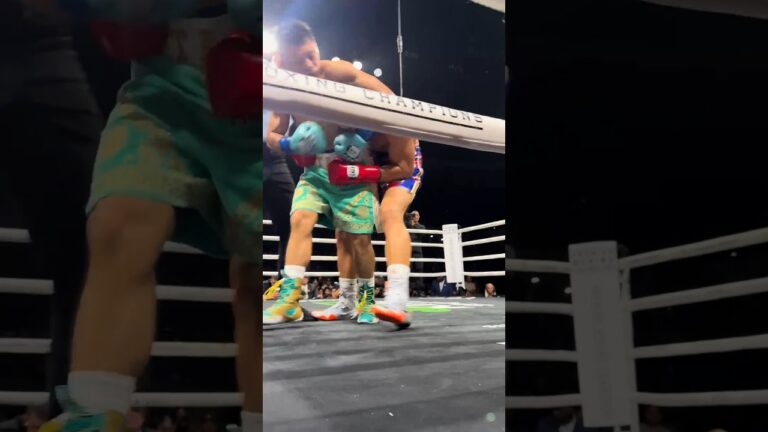 Pittbull giving Bravo a bully beatdown! 🤯💥