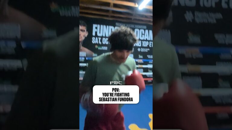 POV: You’re Fighting Sebastian Fundora