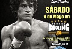 WBA Future Champions this Saturday in memory of Salvador Sanchez – World Boxing Association