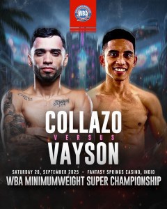 A Clash of Styles for the WBA Minimumweight Crown â€“ World Boxing Association