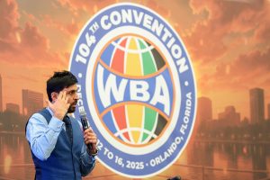 The Elephant in the Room â€“ World Boxing Association