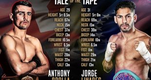 Crolla Vs Linares - Tale of the Tape