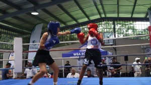 Strong Showing at WBA Future of Panamanian Boxing â€“ World Boxing Association