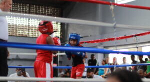 WBA Future of Panamanian Boxing was a success last weekend – World Boxing Association
