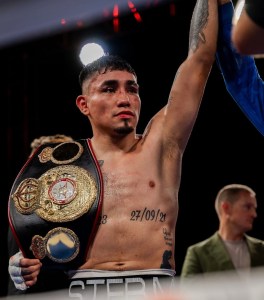 â€œRockyâ€ HernÃ¡ndez and â€œEl Bravoâ€ TÃ©llez Set for War in Quebec â€“ World Boxing Association