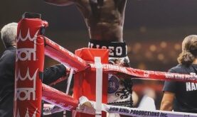 Napoles vs Zaldivar this Friday in Florida  – World Boxing Association