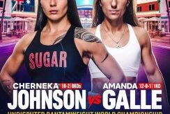 Johnson to Defend Undisputed Bantamweight Crown Against Galle on November 14 in Miami – World Boxing Association