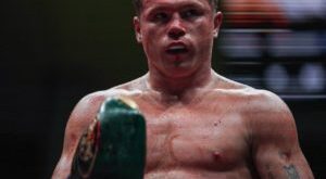 Canelo awaits for Bivol – World Boxing Association