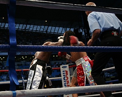 Malignaggi Ndou McCormick101 Ringside Boxing Report: Malignaggi v N’Dou II