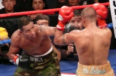 Mayorga Vargas fight Ringside Boxing Report: Ricardo Mayorga vs. Fernando Vargas 