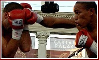  Boxing Recap: Brock   Ibragimov , Julio   Quintana