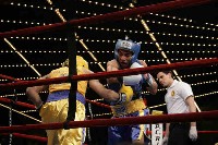  Concepcion v Roman ACTION2 Ringside Boxing Report: NY Daily News Golden Gloves   Part III