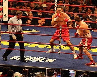  KlitschkovIbragimovfight21 Ringside Boxing Report: Wladimir Klitschko vs. Sultan Ibragimov 
