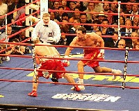  KlitschkovIbragimovfight41 Ringside Boxing Report: Wladimir Klitschko vs. Sultan Ibragimov 