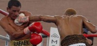  Marquez v Mabuza9 Ringside Boxing Report: Rafael Marquez   Silence Mabuza 2
