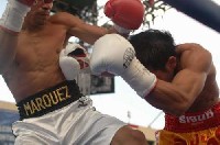  Marquz v Jandaeng1 Ringside Boxing Report: Rafael Marquez   Silence Mabuza 2