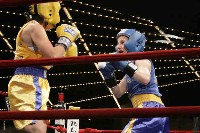  Merlucci v Kramer Ringside Boxing Report: NY Daily News Golden Gloves   Part III