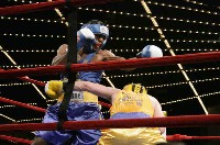 Rosinsky v Zadok2 Ringside Boxing Report: NY Daily News Golden Gloves   Part III