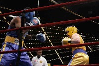  Rosinsky v Zadok3 Ringside Boxing Report: NY Daily News Golden Gloves   Part III