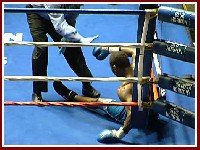  Shmouel Robertson2 Ringside Boxing Report: Terrance Cauthen   Joshua Onyango