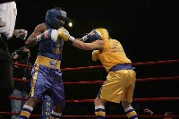  Walsh v Oliver2 Ringside Boxing Report: NY Daily News Golden Gloves   Part III