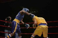  Walsh v Oliver3 Ringside Boxing Report: NY Daily News Golden Gloves   Part III
