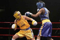  Walsh v Oliver4 Ringside Boxing Report: NY Daily News Golden Gloves   Part III