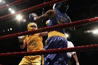 Walsh v Oliver5 Ringside Boxing Report: NY Daily News Golden Gloves   Part III