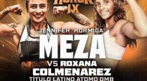 Jennifer Meza will fight Roxana Colmenarez for the Fedelatin title  – World Boxing Association