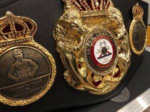 The WBA world title reduction plan keeps moving forward â€“ World Boxing Association