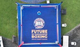 A Global Project – World Boxing Association